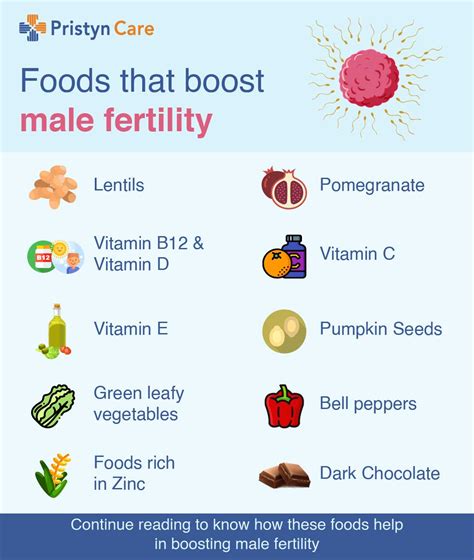 does sperm have calories|Diet and Male Fertility: The Impact of Nutrients and Antioxidants .